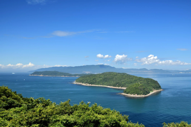 Discover the Hidden Gems of Wakayama Shi, Japan