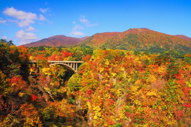 Whispers of Autumn—Japan’s Autumn Foliage Tour