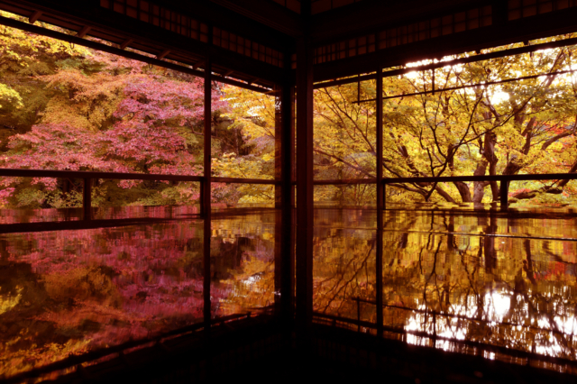 Planning Your Magical Autumn Trip to Kyoto, Japan