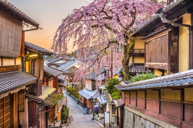 The Ultimate Guide to Kyoto Cherry Blossoms: Top5 Viewing Spots & Times